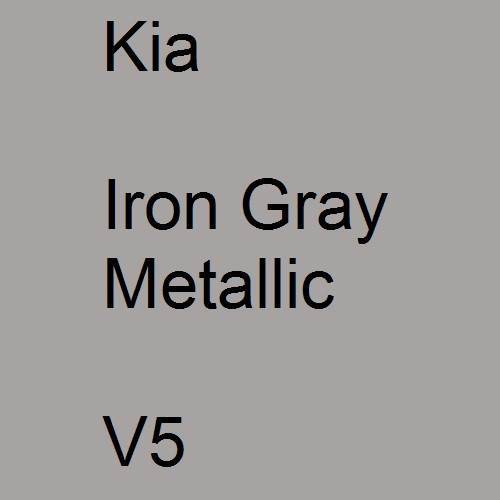 Kia, Iron Gray Metallic, V5.